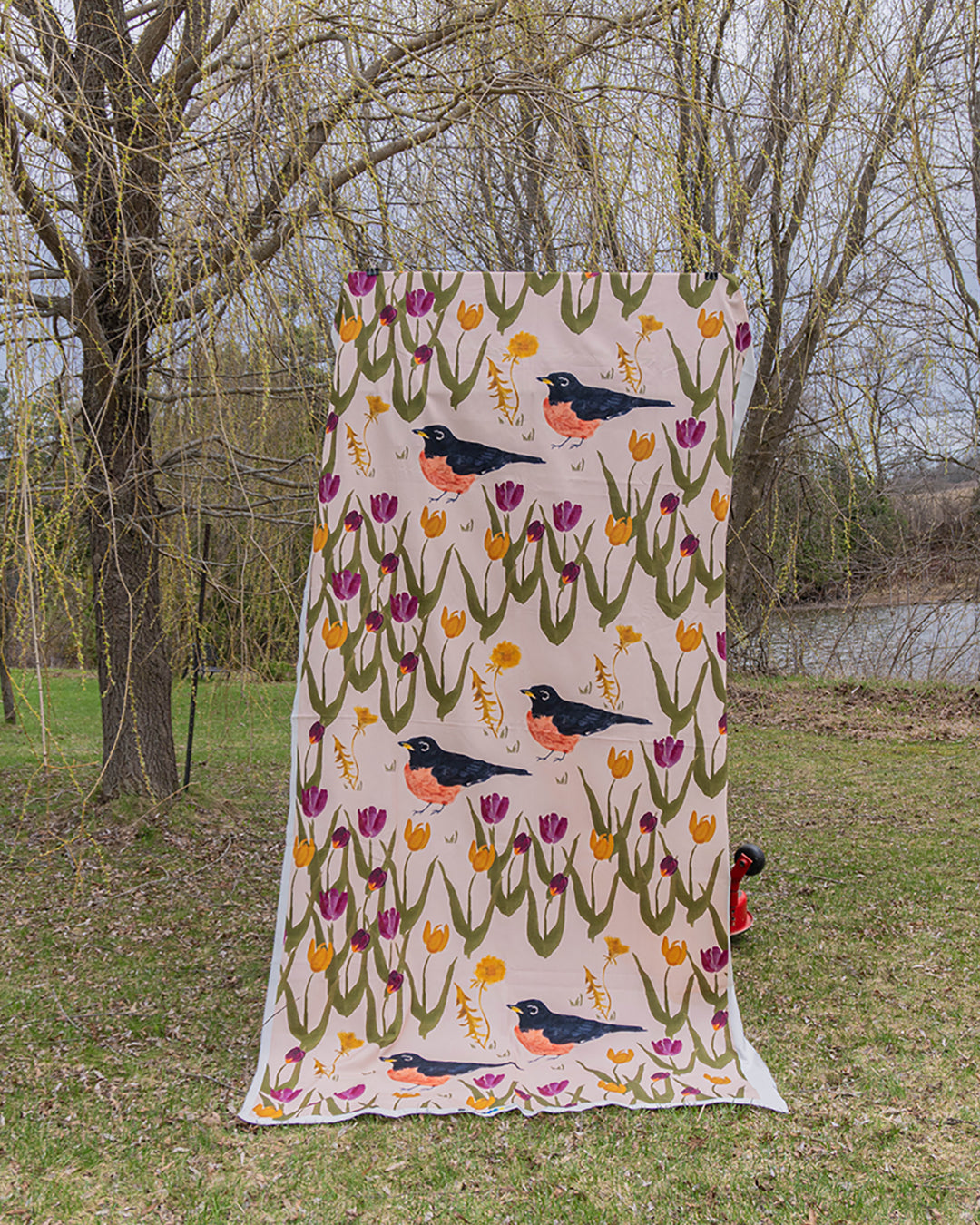 In My Parents Garden: American Robin Fabric